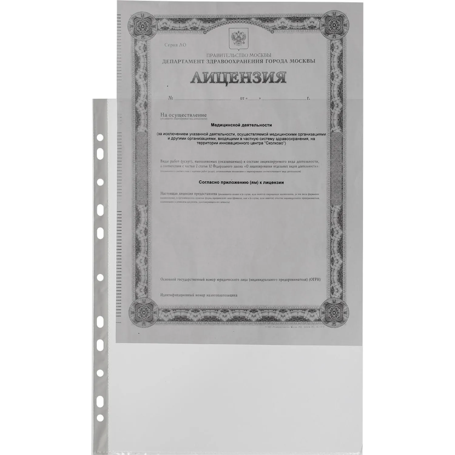 Файл-вкладыш А4 100шт., гладкая Элементари 0,45 мм - фото 3