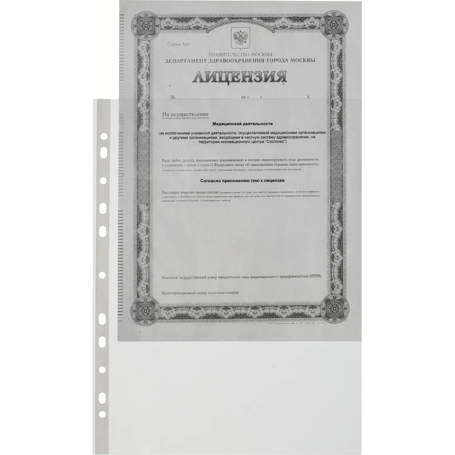 Файл-вкладыш А4 200шт., рифлен. Элементари 0,45 мм - фото 2