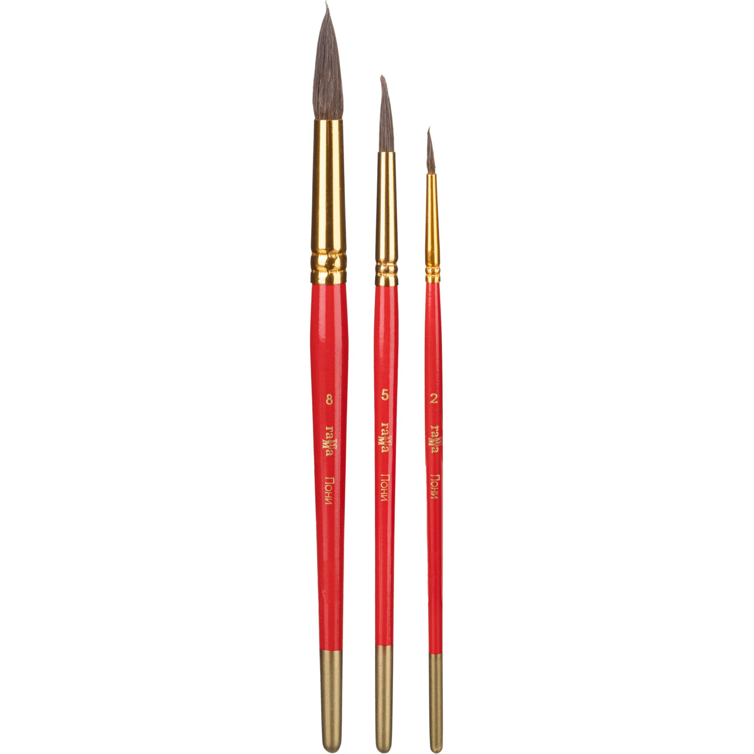 Набор кистей Гамма Пони,3 шт. 2,5,8 блистер, 280618.09.03 - фото 2