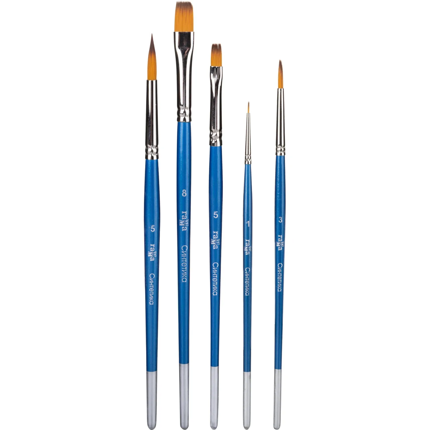 Набор кистей Гамма Синтетика 5 шт кр№ 1,3,5 пл № 5,8, 280618.09.06 - фото 2