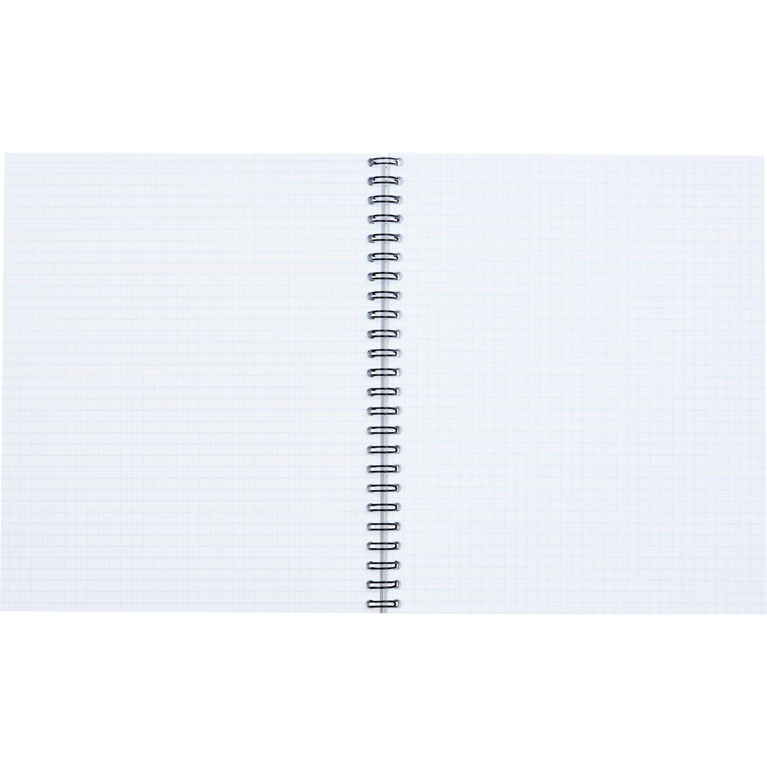 Бизнес-тетрадь А5,96л,кл,греб,ламин.обл. Attache Selection Fluid Фиолетовый - фото 2