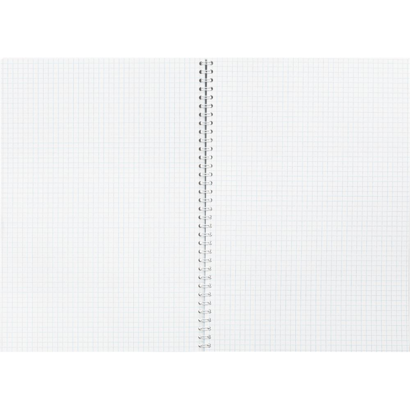 Бизнес-тетрадь А4,80л,кл,греб,обл.мат.лам. Attache Selection Pastel Полосы - фото 2