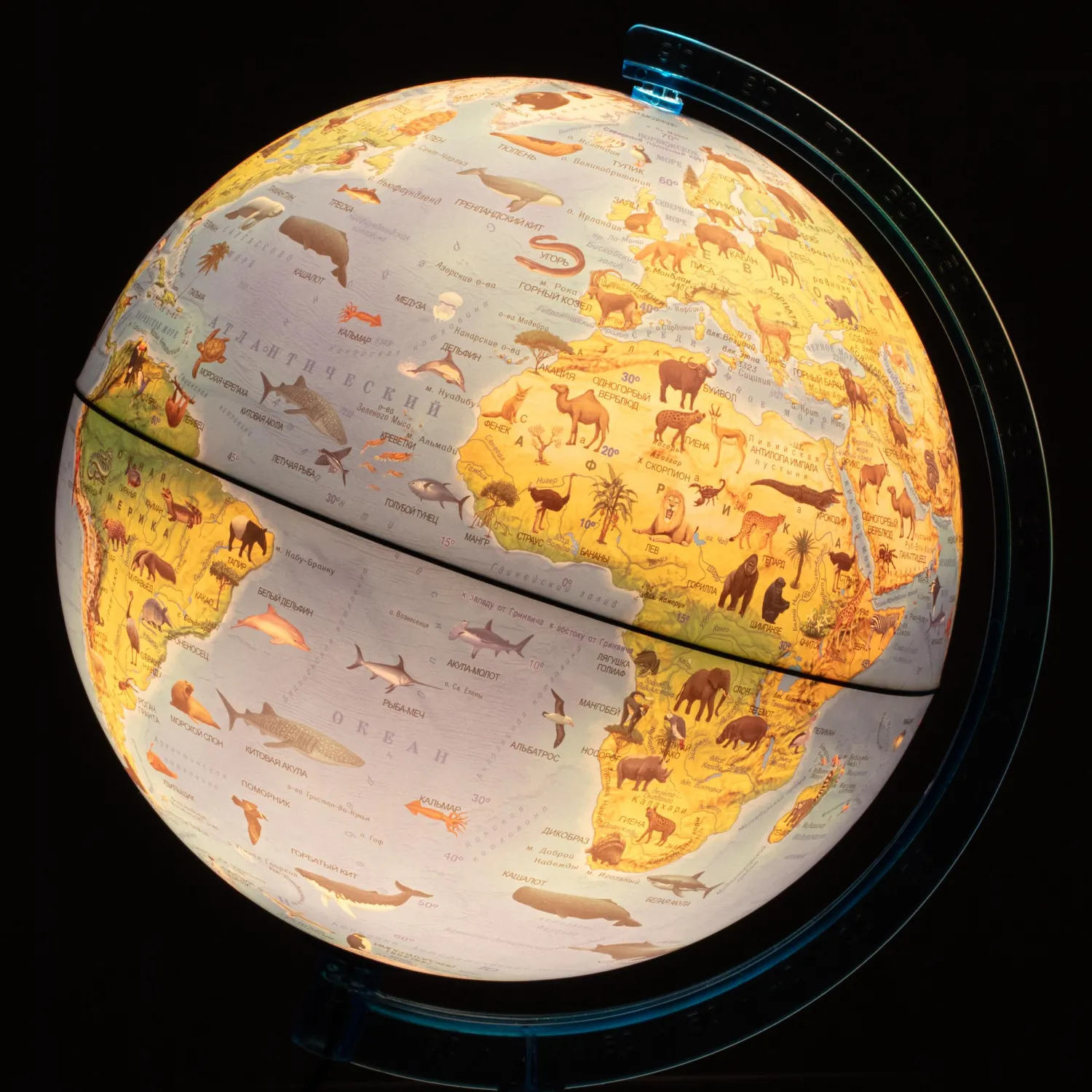 Глобус интерактивный зоогеографич с подсветк. и VR очками,250мм,INT12500306 - фото 2