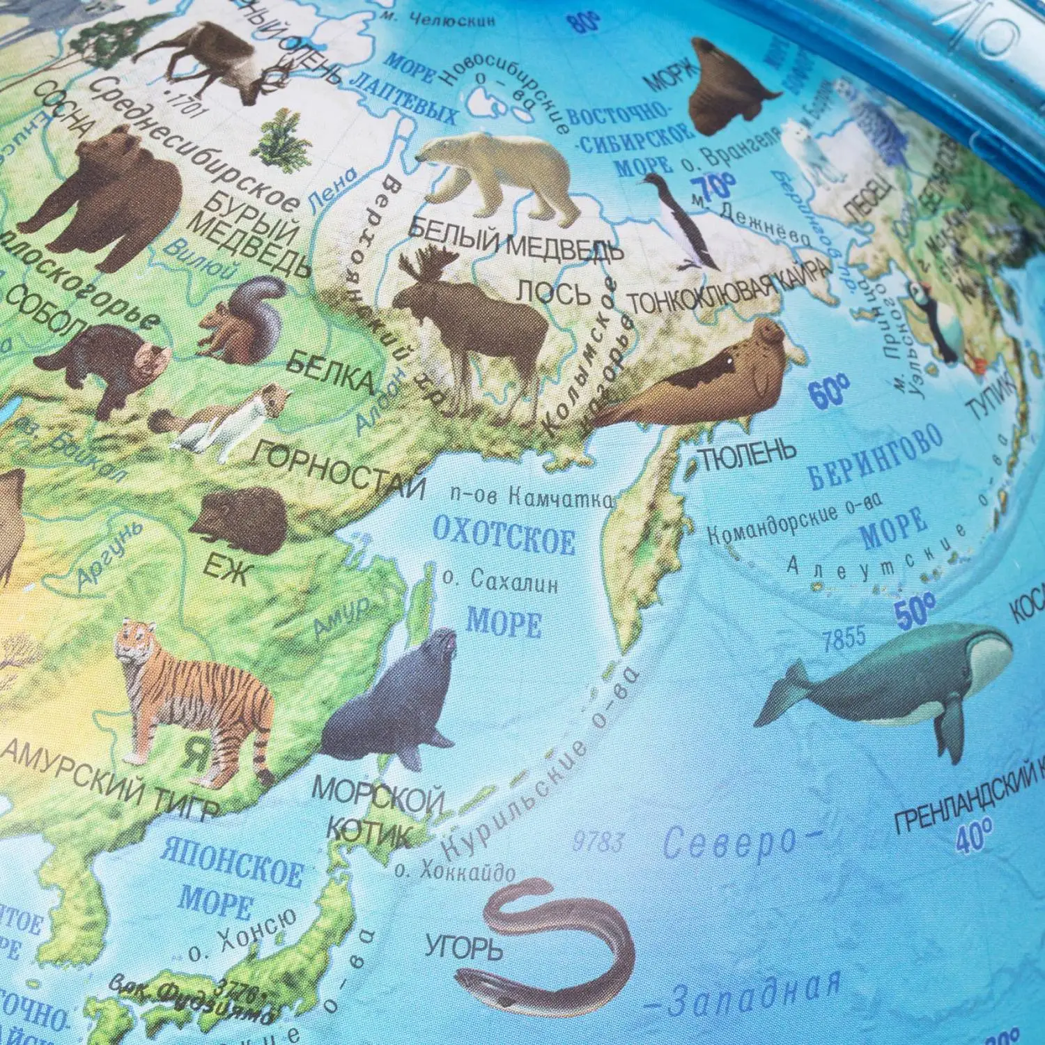 Глобус интерактивный зоогеографич с подсветк. и VR очками,250мм,INT12500306 - фото 5