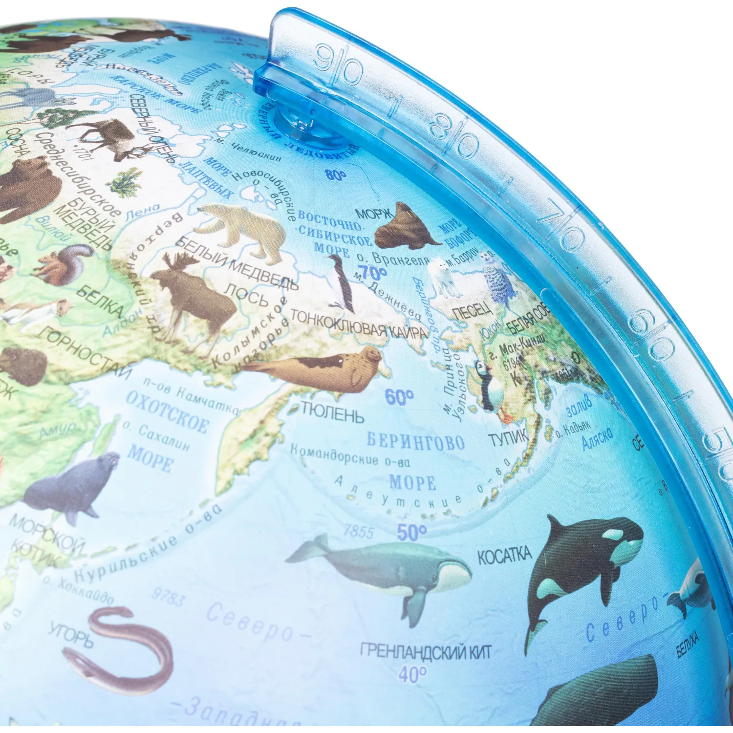 Глобус интерактивный зоогеографич с подсветк. и VR очками,250мм,INT12500306 - фото 7