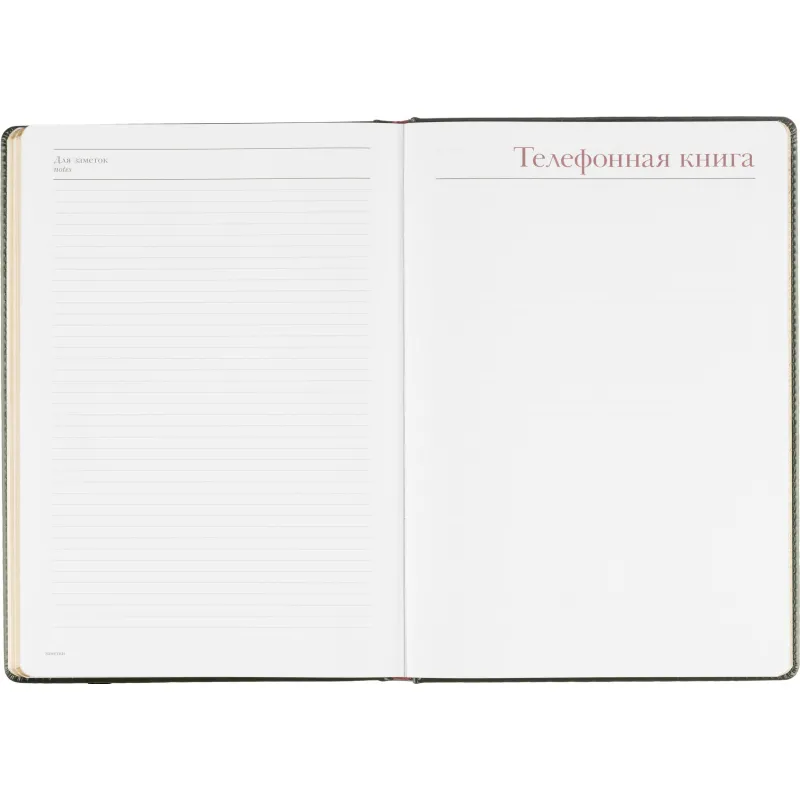 Ежедневник недатированный А4 210 х 302мм Sidney Nebraska 272 стр.3-539/05 - фото 18