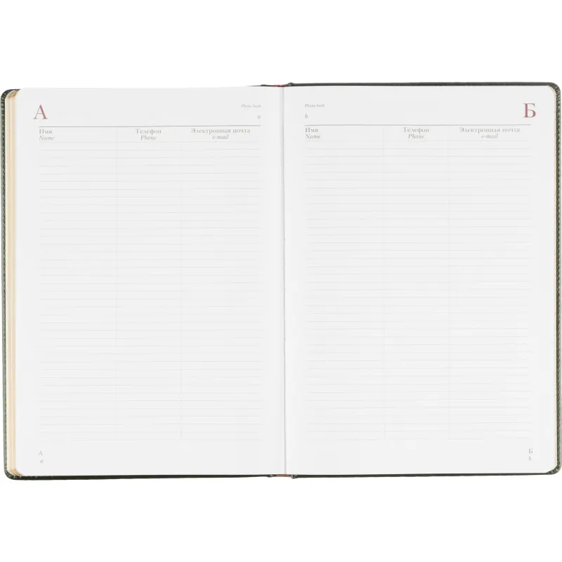 Ежедневник недатированный А4 210 х 302мм Sidney Nebraska 272 стр.3-539/05 - фото 19