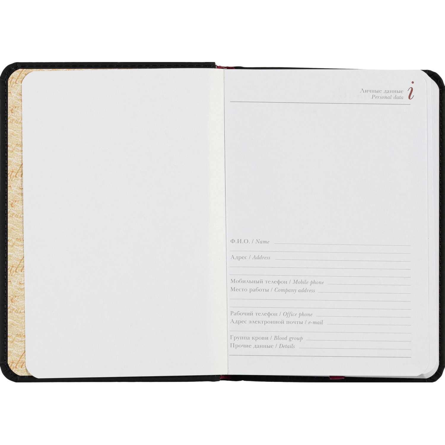 Ежедневник недатированный А6+ 112 х 155 мм Velvet черный 272 стр. 3-495/04 - фото 9