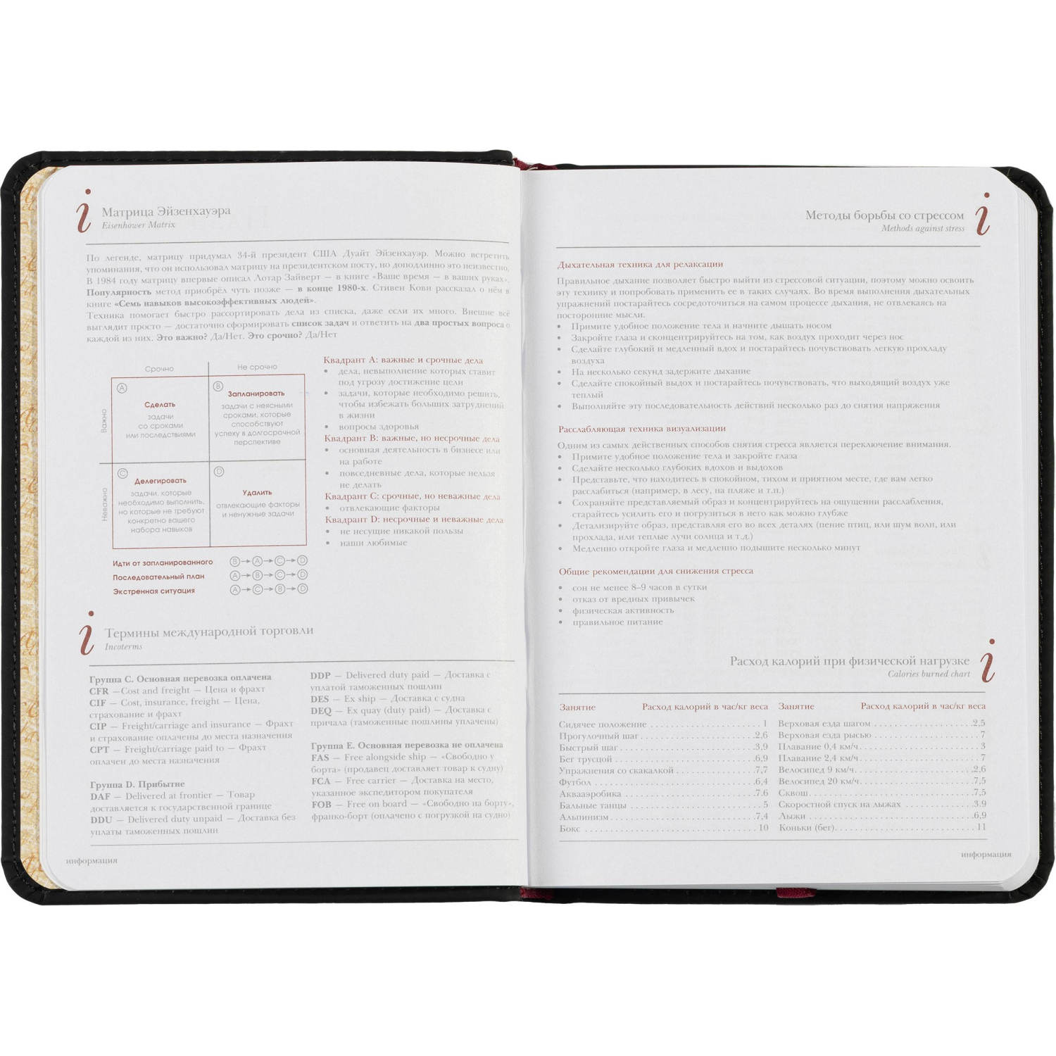 Ежедневник недатированный А6+ 112 х 155 мм Velvet черный 272 стр. 3-495/04 - фото 11