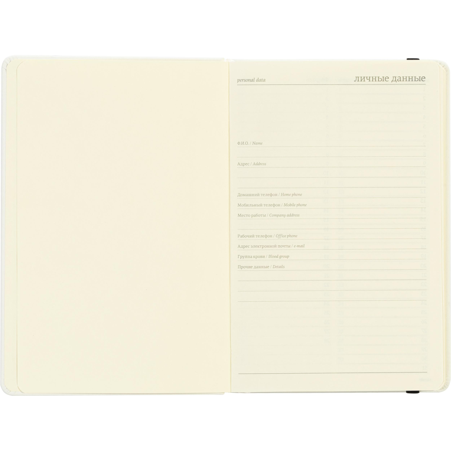 Ежедневник недатированный А5 142х214 мм Megapolis Velvet бел 320с. 3-468/23 - фото 9