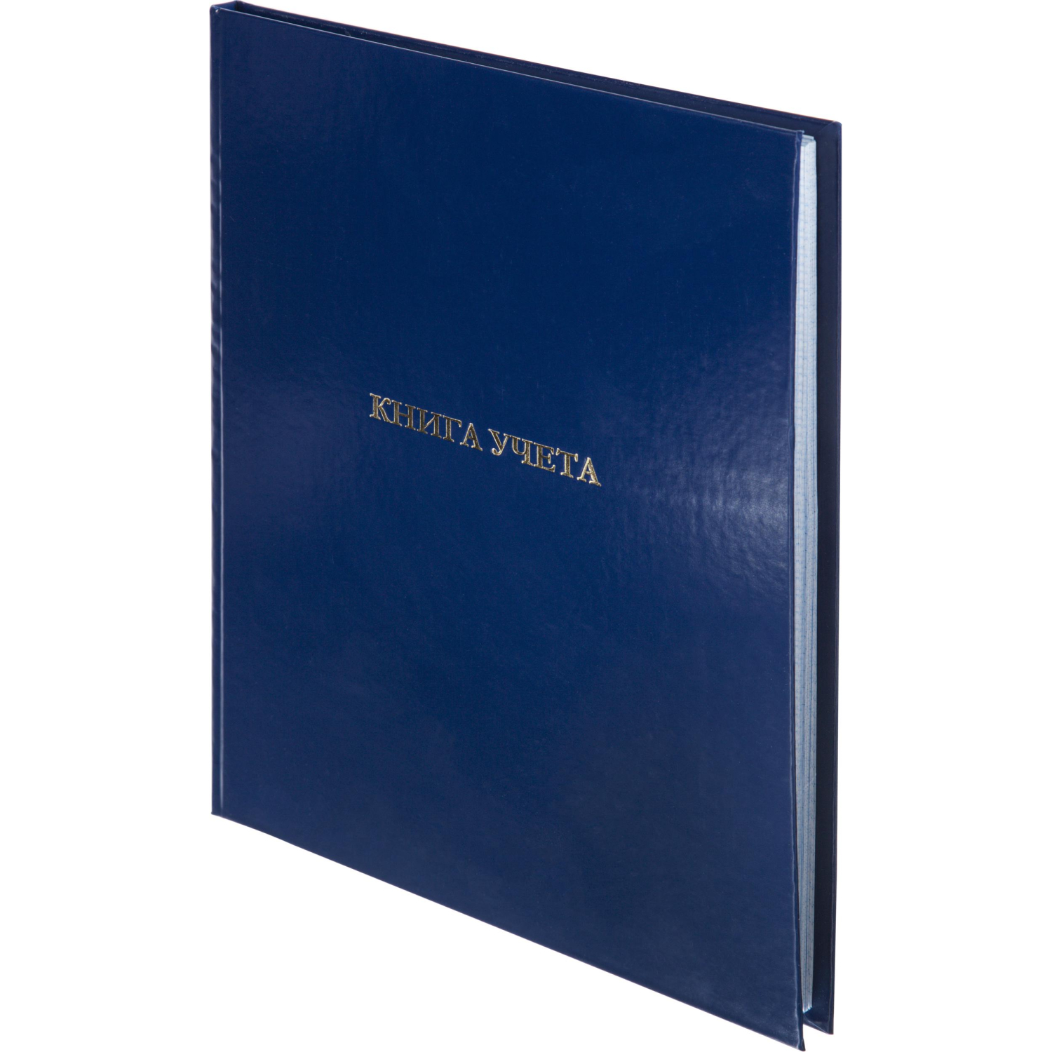 Книга учета 96л. в клетку офсет, обл.бумвинил синий Книга учета 96л. в клетку офсет, обл.бумвинил синий - фото 3