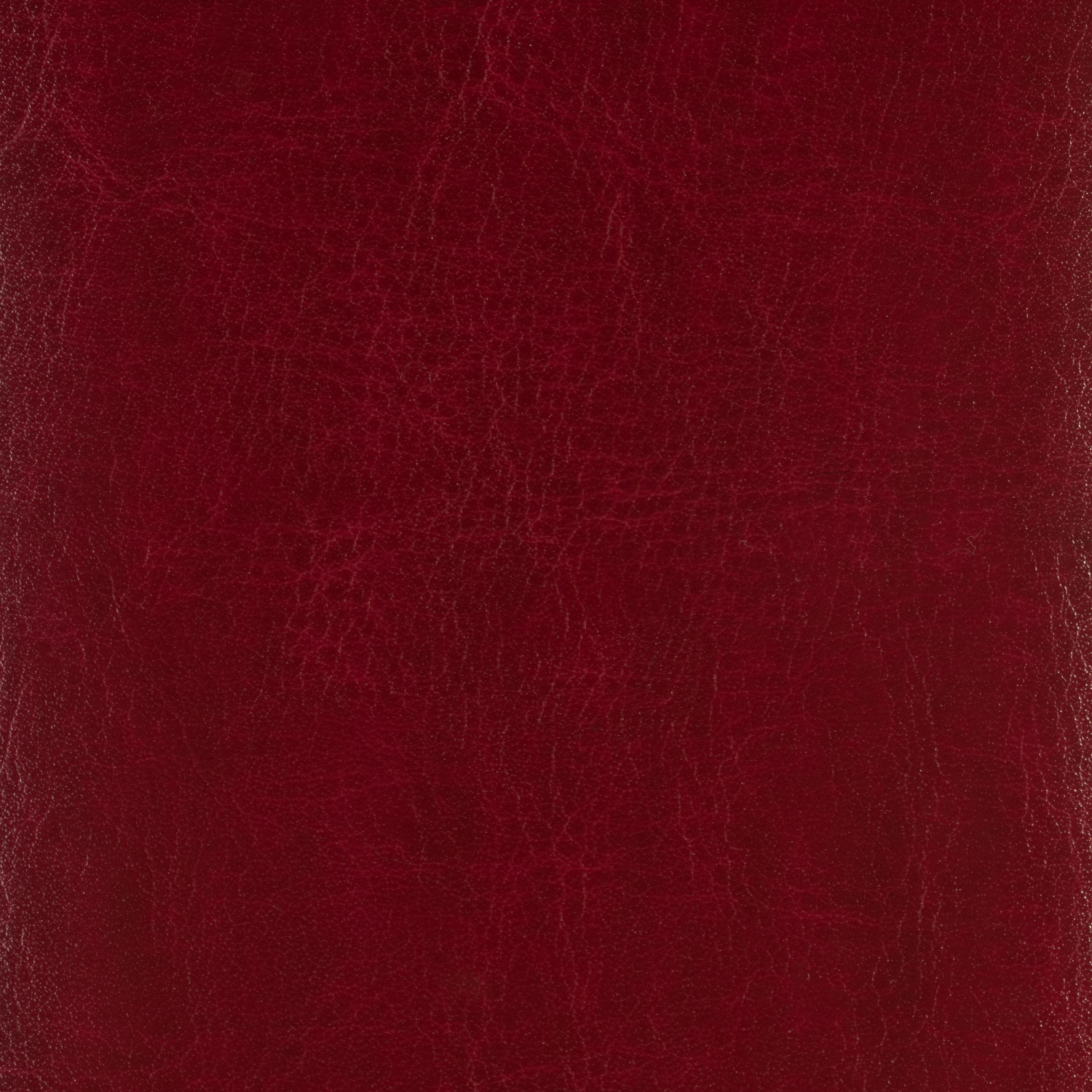 Ежедневник недатированный бордо, А6,100x150, 320стр, Agenda - фото 6