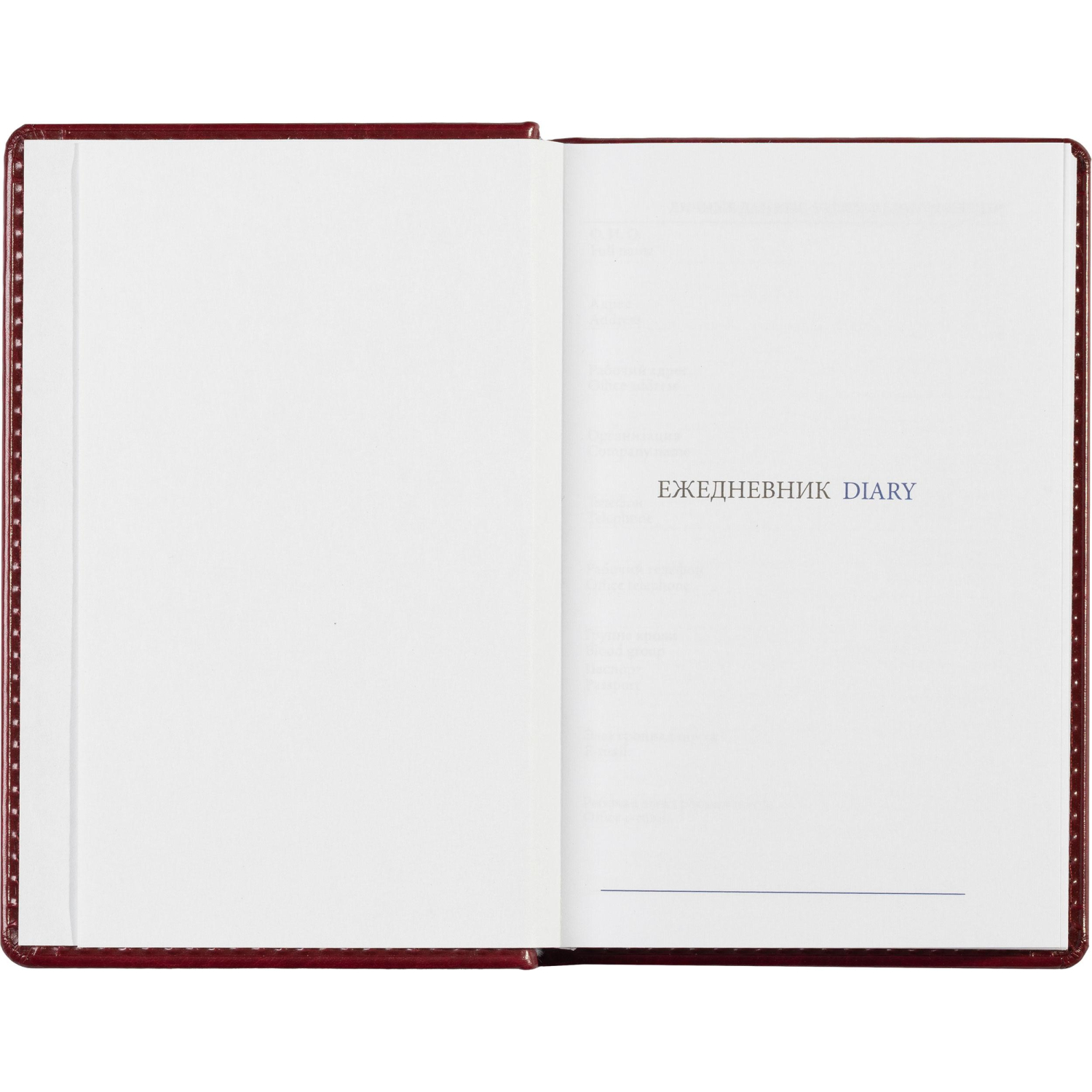 Ежедневник недатированный бордо, А6,100x150, 320стр, Agenda - фото 9