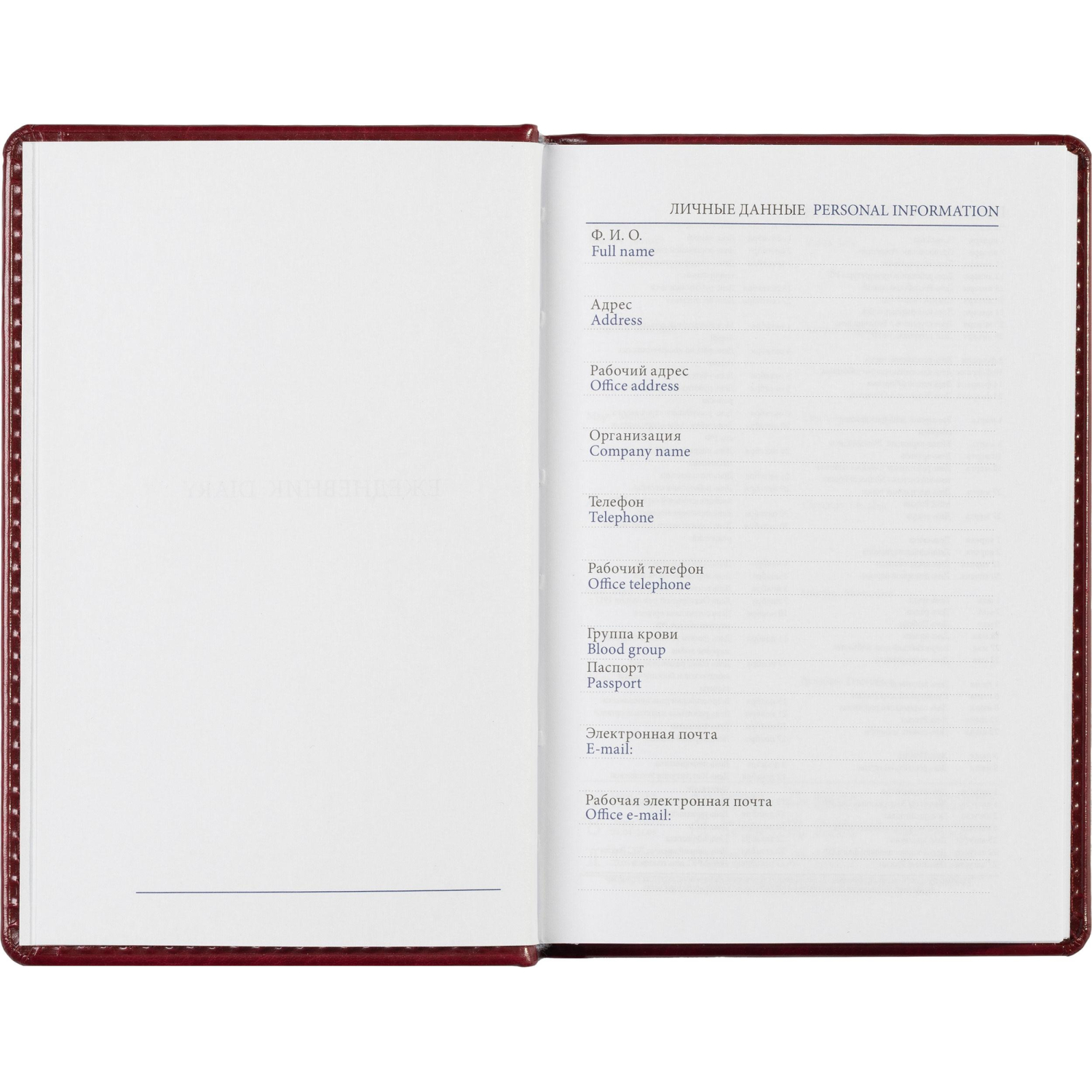 Ежедневник недатированный бордо, А6,100x150, 320стр, Agenda - фото 10