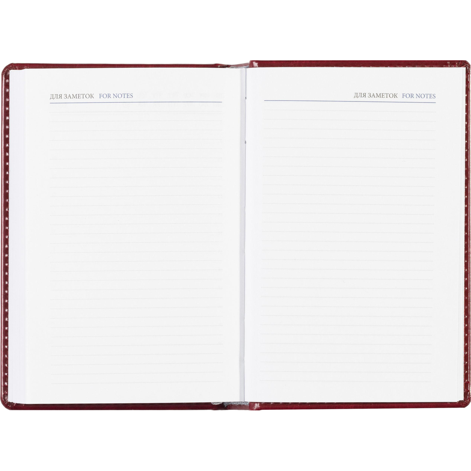 Ежедневник недатированный бордо, А6,100x150, 320стр, Agenda - фото 19