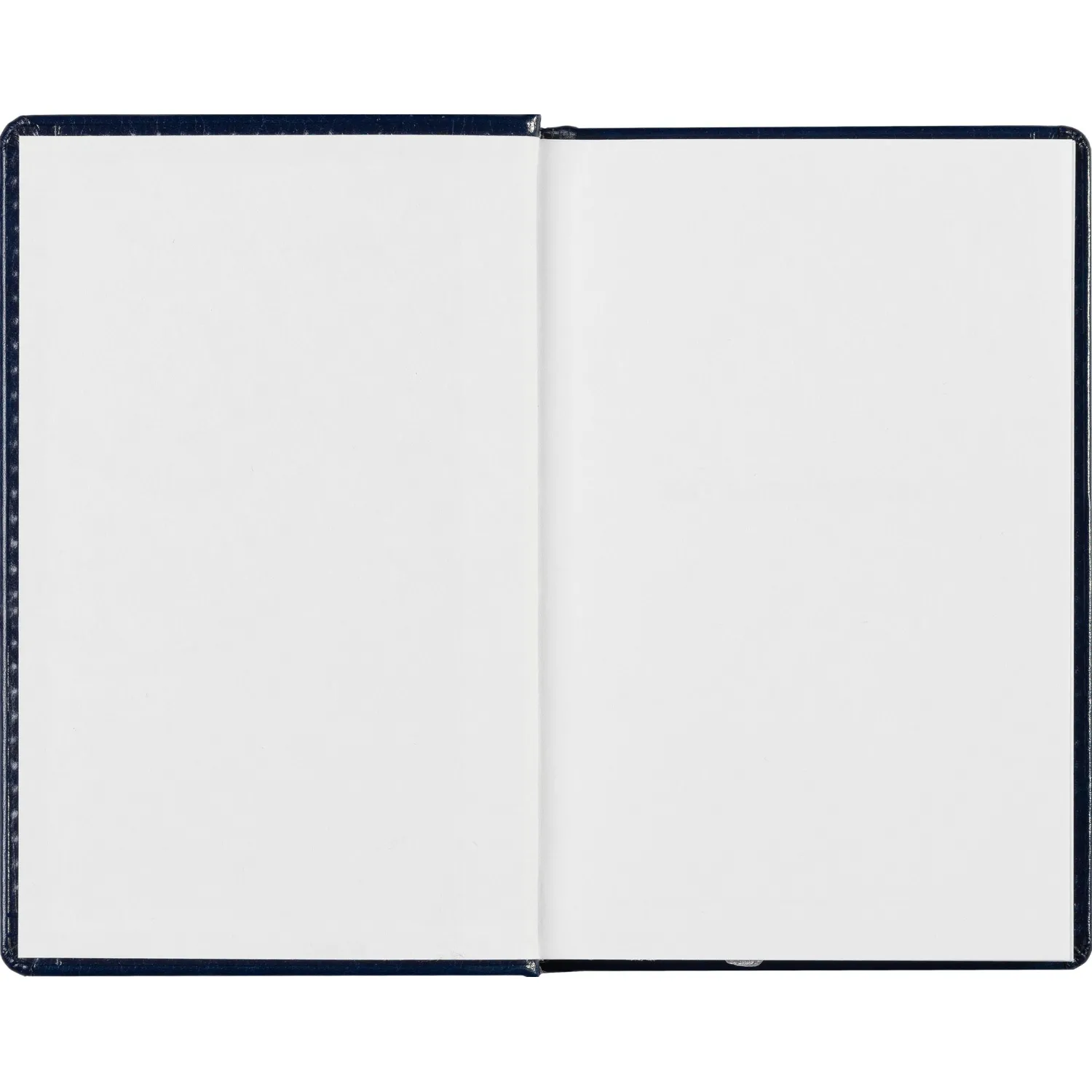 Ежедневник недатированный синий, А6,100x150, 320стр, Agenda - фото 8