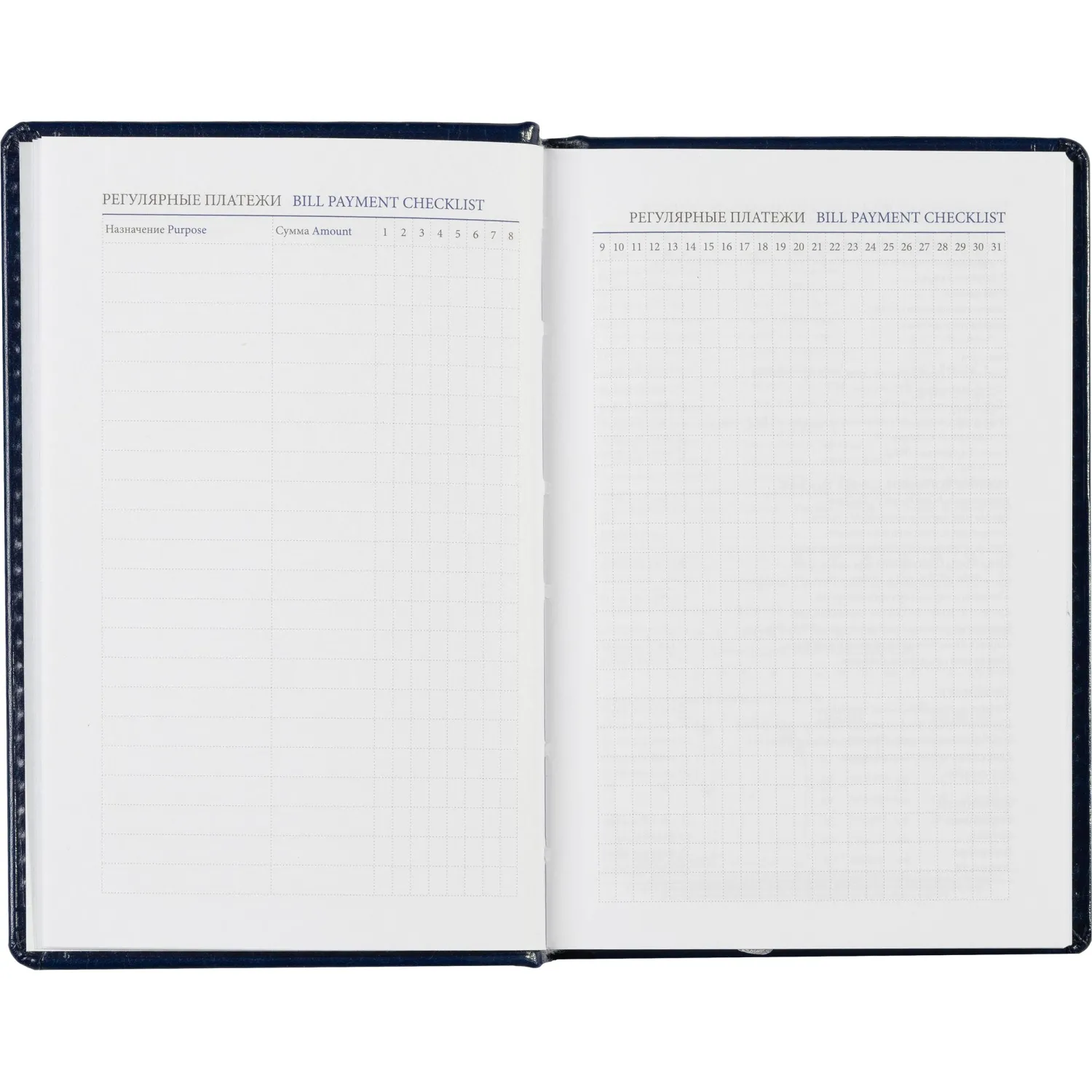 Ежедневник недатированный синий, А6,100x150, 320стр, Agenda - фото 13