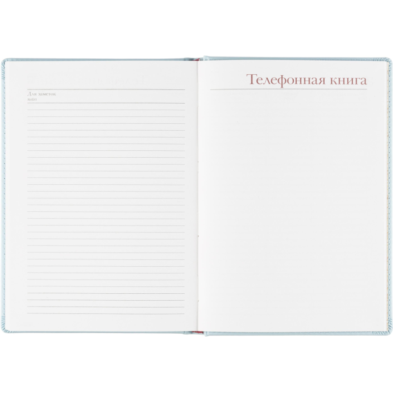 Ежедневник недатированный А5+, 136л, Velvet зефирный голубой 3-115/35 - фото 19