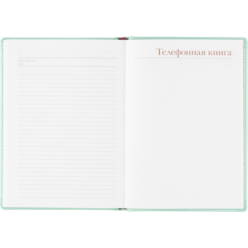 Ежедневник недатированный А5+, 136л, Velvet зефирный мятный 3-115/36 - фото 19