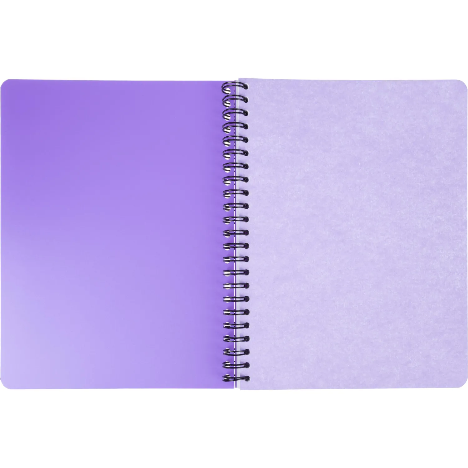 Бизнес-тетрадь А5,96л,кл,спир,пласт,тон.бл. Attache Bright colours Сиренев - фото 5