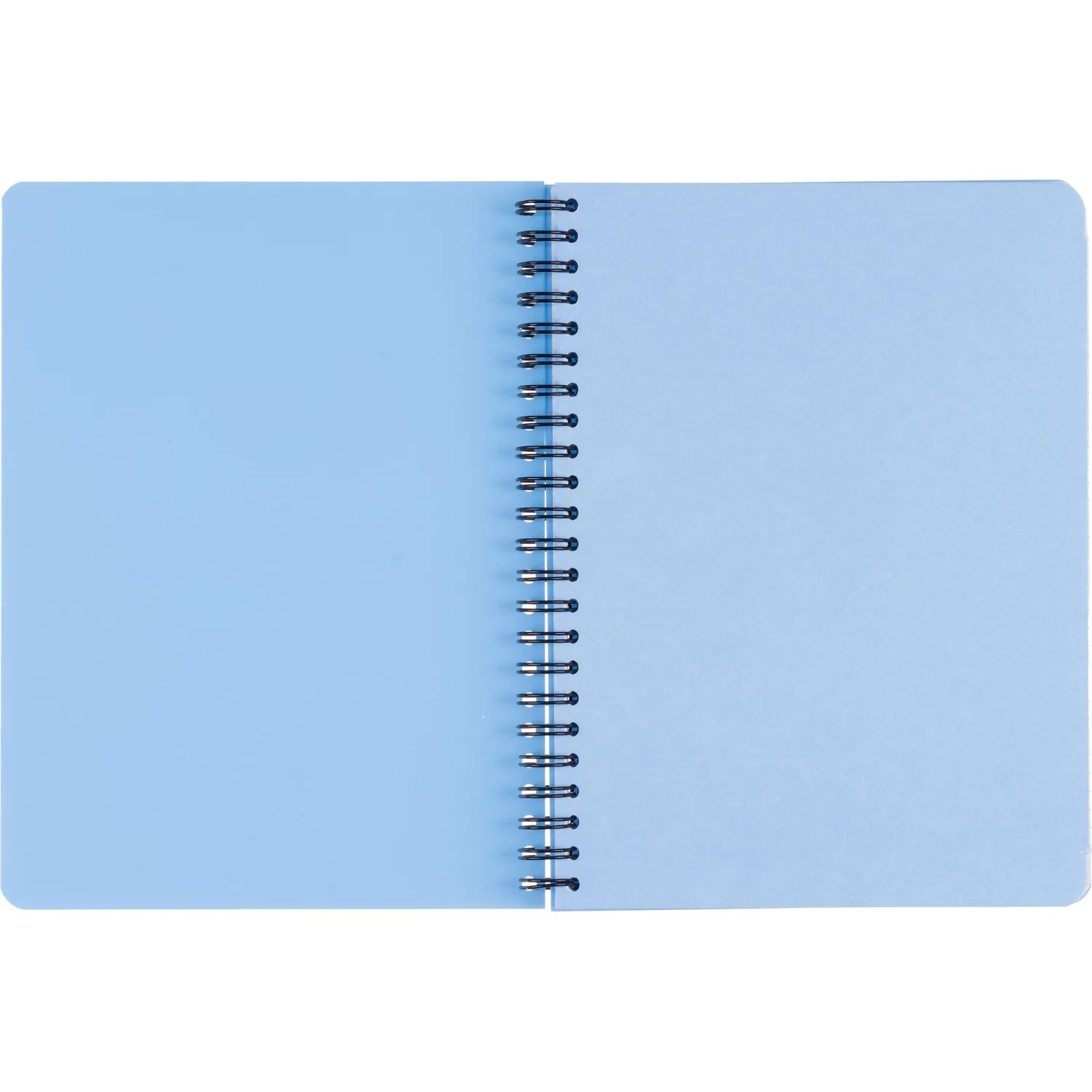 Бизнес-тетрадь А5,96л,кл,спир,пластик,тон.бл. Attache Bright colours Голуб - фото 5