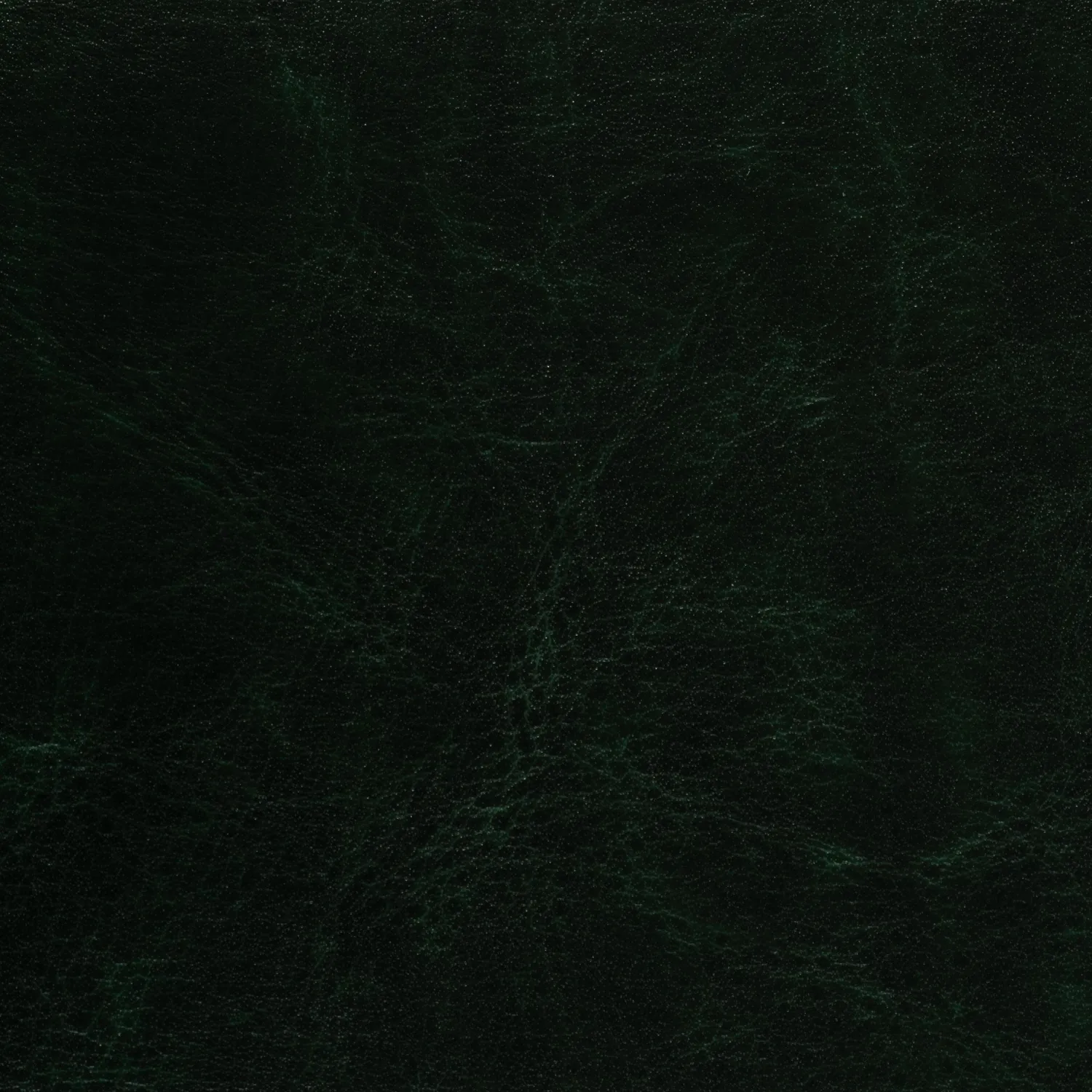 Ежедневник недатированный зелен,А5,145х205мм,136л, Sidney NEBRASKA 3-128/05 - фото 6