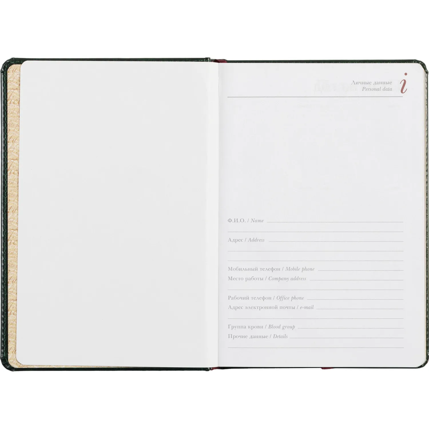 Ежедневник недатированный зелен,А5,145х205мм,136л, Sidney NEBRASKA 3-128/05 - фото 9