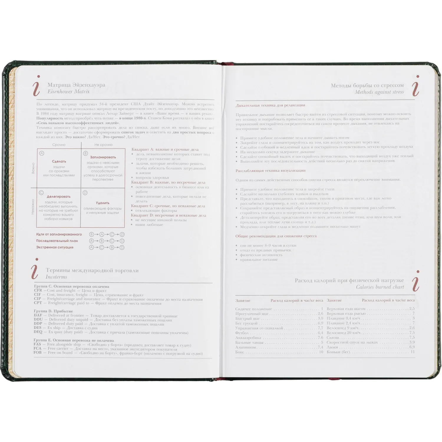 Ежедневник недатированный зелен,А5,145х205мм,136л, Sidney NEBRASKA 3-128/05 - фото 11