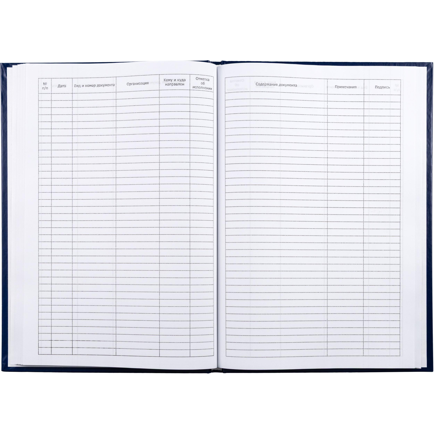 Книга регистр. корреспонден. А4 96л. обл.бумвинил - фото 2