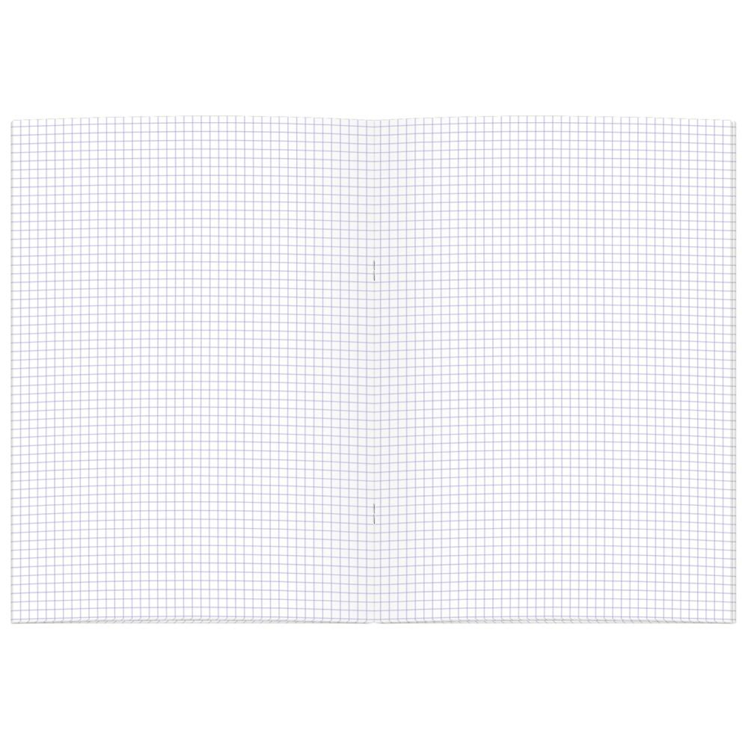 Тетрадь общая 60л,клет,А4,обл,карт,Графо - фото 2