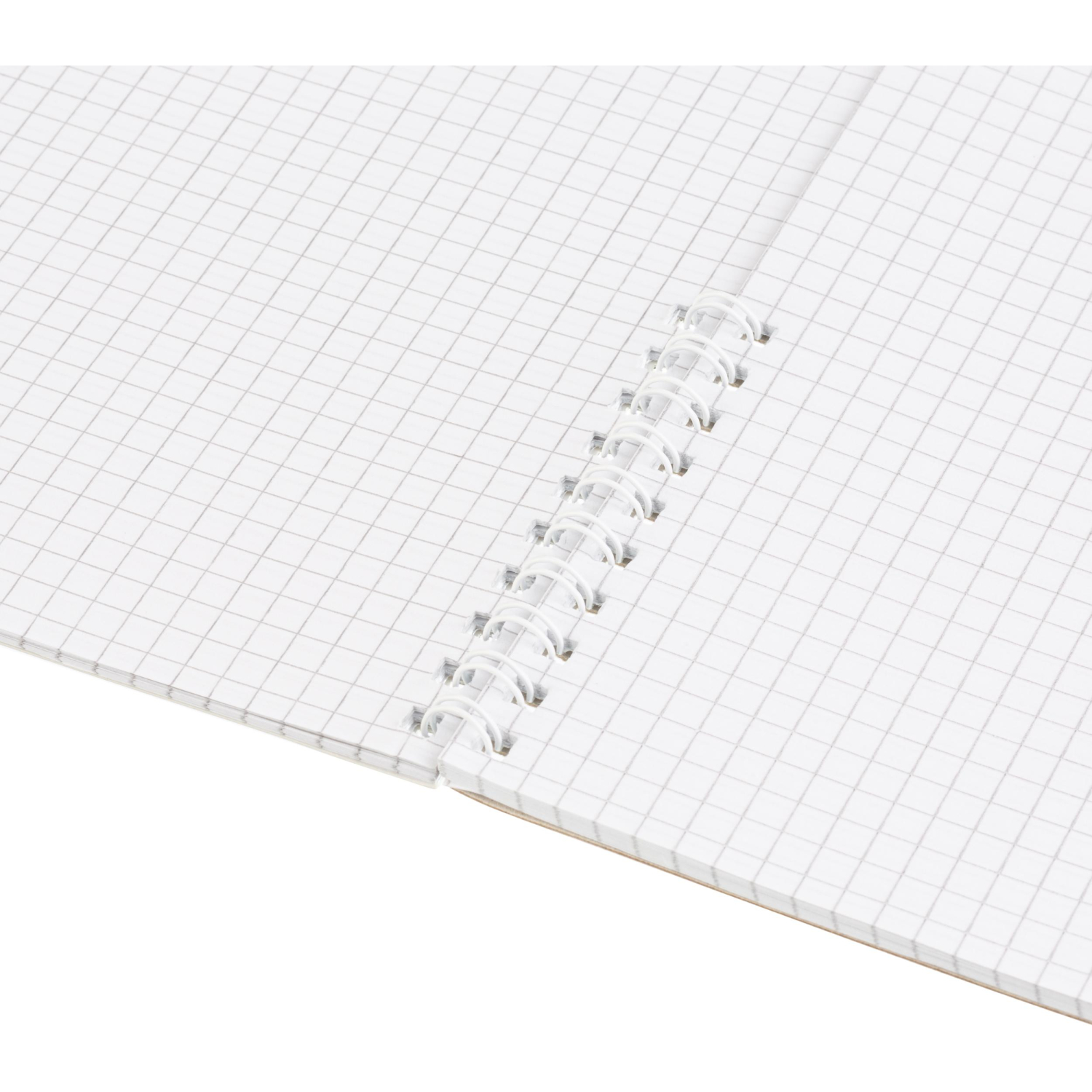 Тетрадь общая 48л,клет,А4,спир,обл.карт,Графо - фото 7