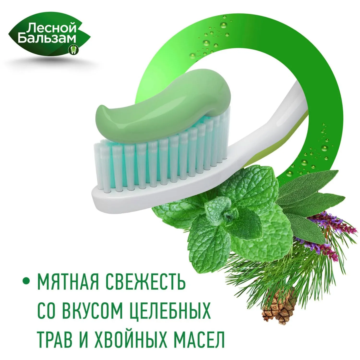 Зубная паста Лесной бальзам ПРОФ ЗП КОРА ДУБА-ПИХТ ОТВ/ТР 75мл - фото 8