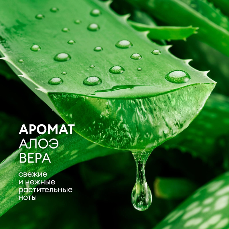 Крем-мыло жидкое ПРОФ ароматизированное Grass/MILANA Алоэ вера, 5л - фото 5