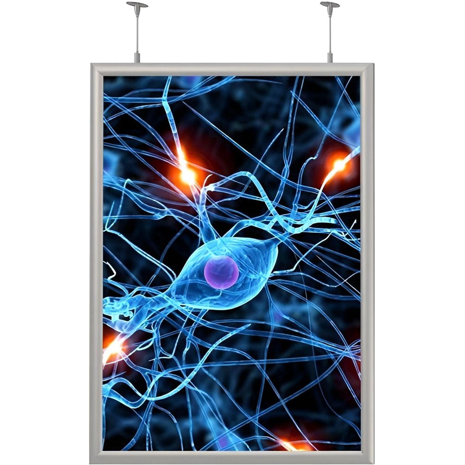 Панель световая Frame LED 2-стор тросы А1+ (624х871) раз.пл. 594х841 - фото 1