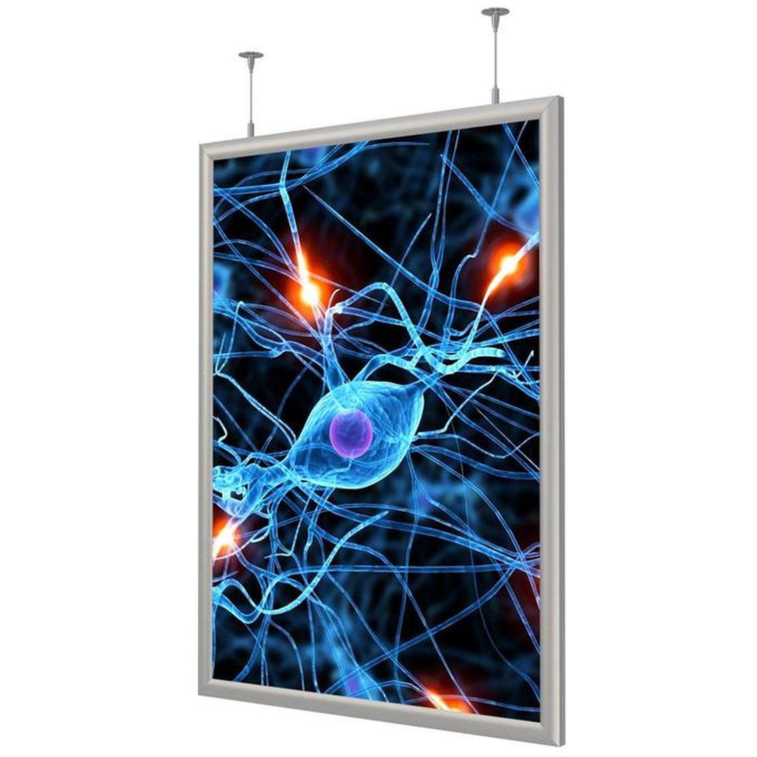 Панель световая Frame LED 2-стор тросы А1+ (624х871) раз.пл. 594х841 - фото 2