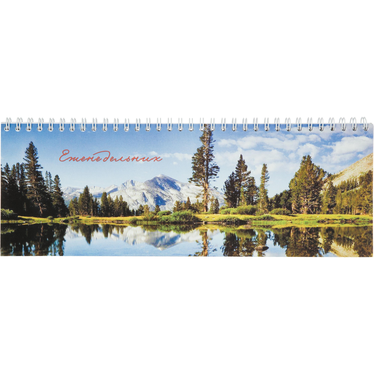 Планинг недатированный 295х100 Attache Economy, 56 л.Пт 4603721416431 - фото 2