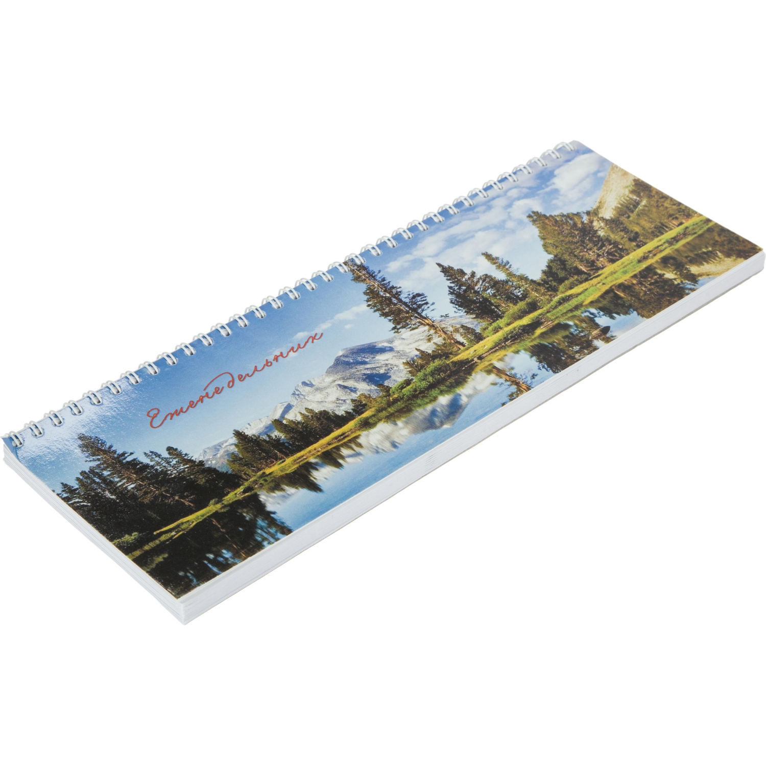 Планинг недатированный 295х100 Attache Economy, 56 л.Пт 4603721416431 - фото 3