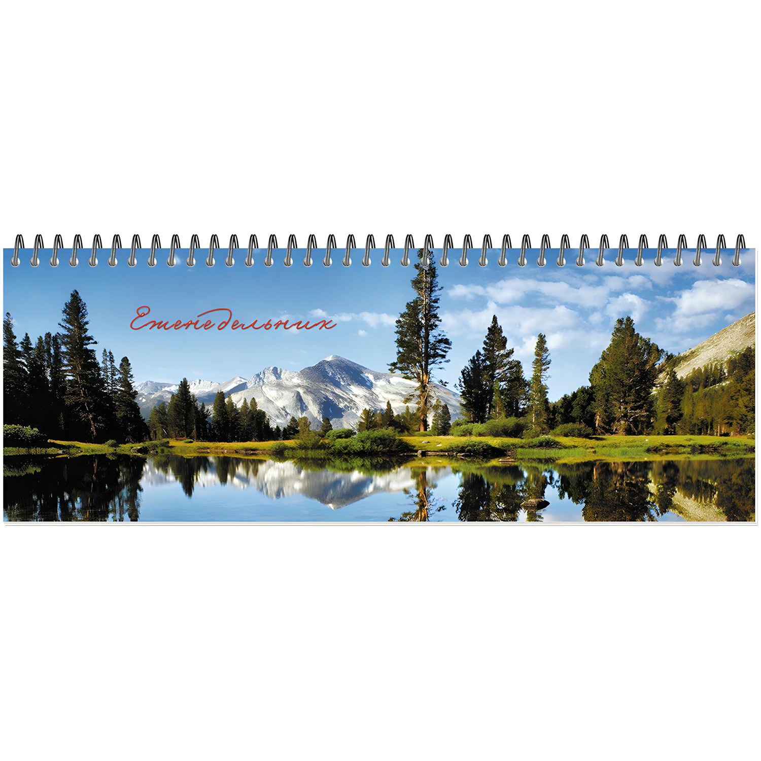 Планинг недатированный 295х100 Attache Economy, 56 л.Пт 4603721416431 - фото 4