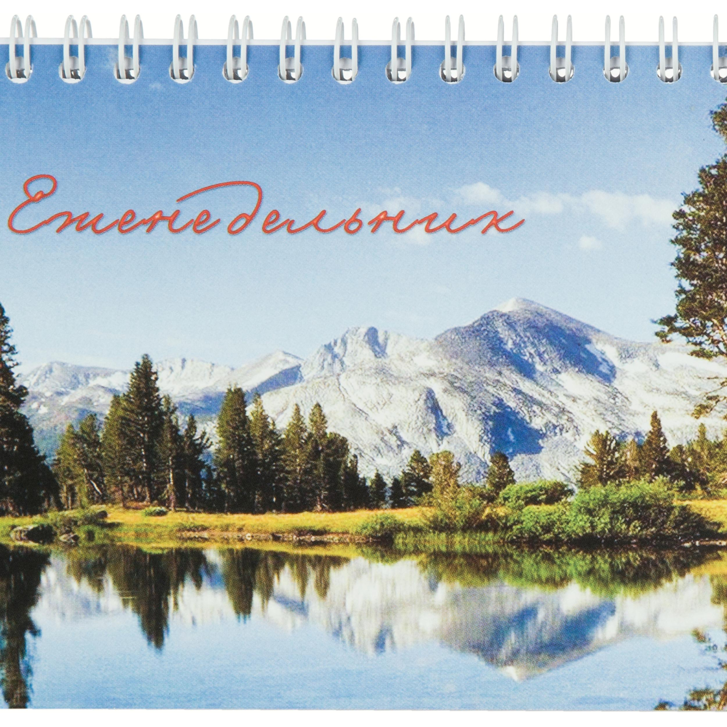 Планинг недатированный 295х100 Attache Economy, 56 л.Пт 4603721416431 - фото 6