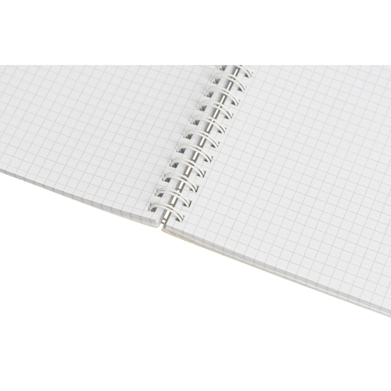 Тетрадь общая Attache Cristal,120л,клет,А4,спир,обл.мел.карт - фото 7