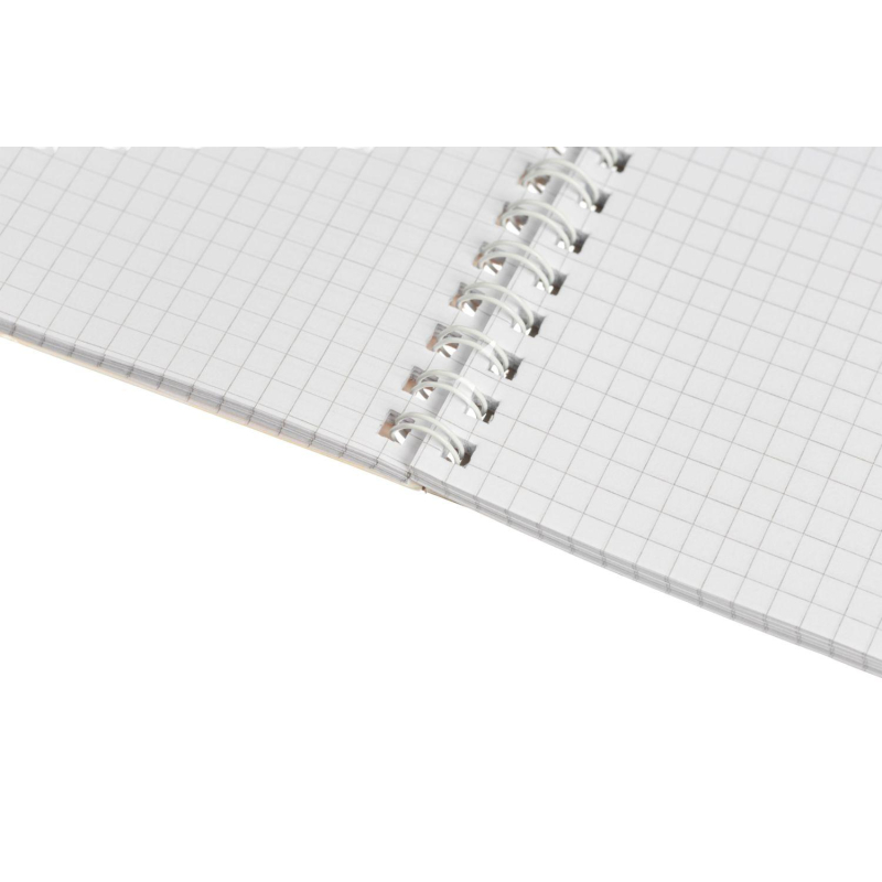 Тетрадь общая Attache Cristal,80л,клет,А4,спир,обл.мел.карт - фото 7