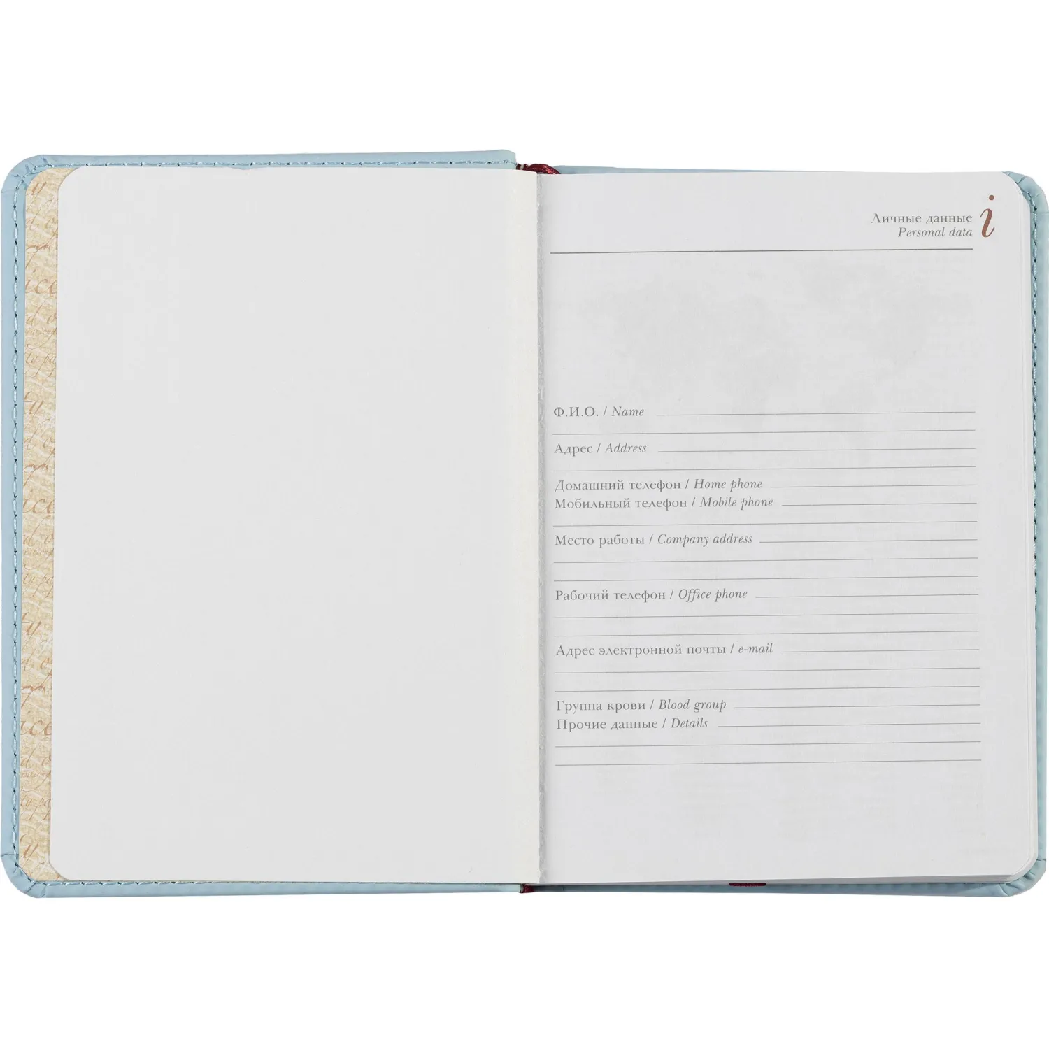 Ежедневник недатированный А6+ VELVET (ЗЕФИРНЫЙ ГОЛУБОЙ) 3-495/35 - фото 9