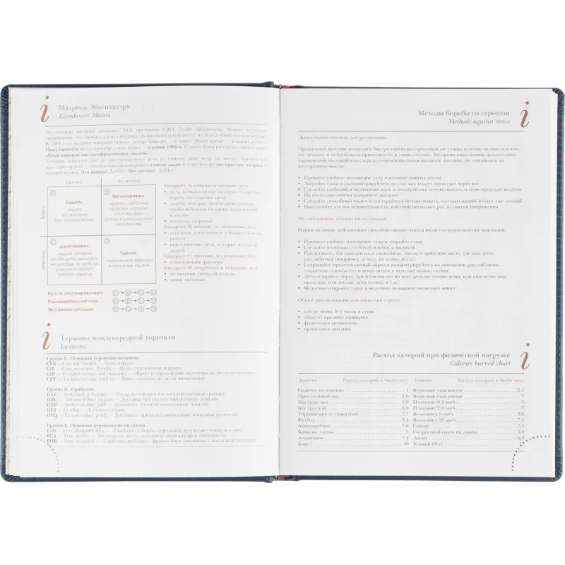 Ежедневник недатированный А5 LEADER (СИНИЙ) 3-129/01 - фото 10