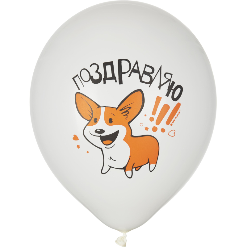 Набор шаров WHITE&amp;ORANGE Корги СДР 5шт/уп в ассортимен M 12/30см 6073138 - фото 3