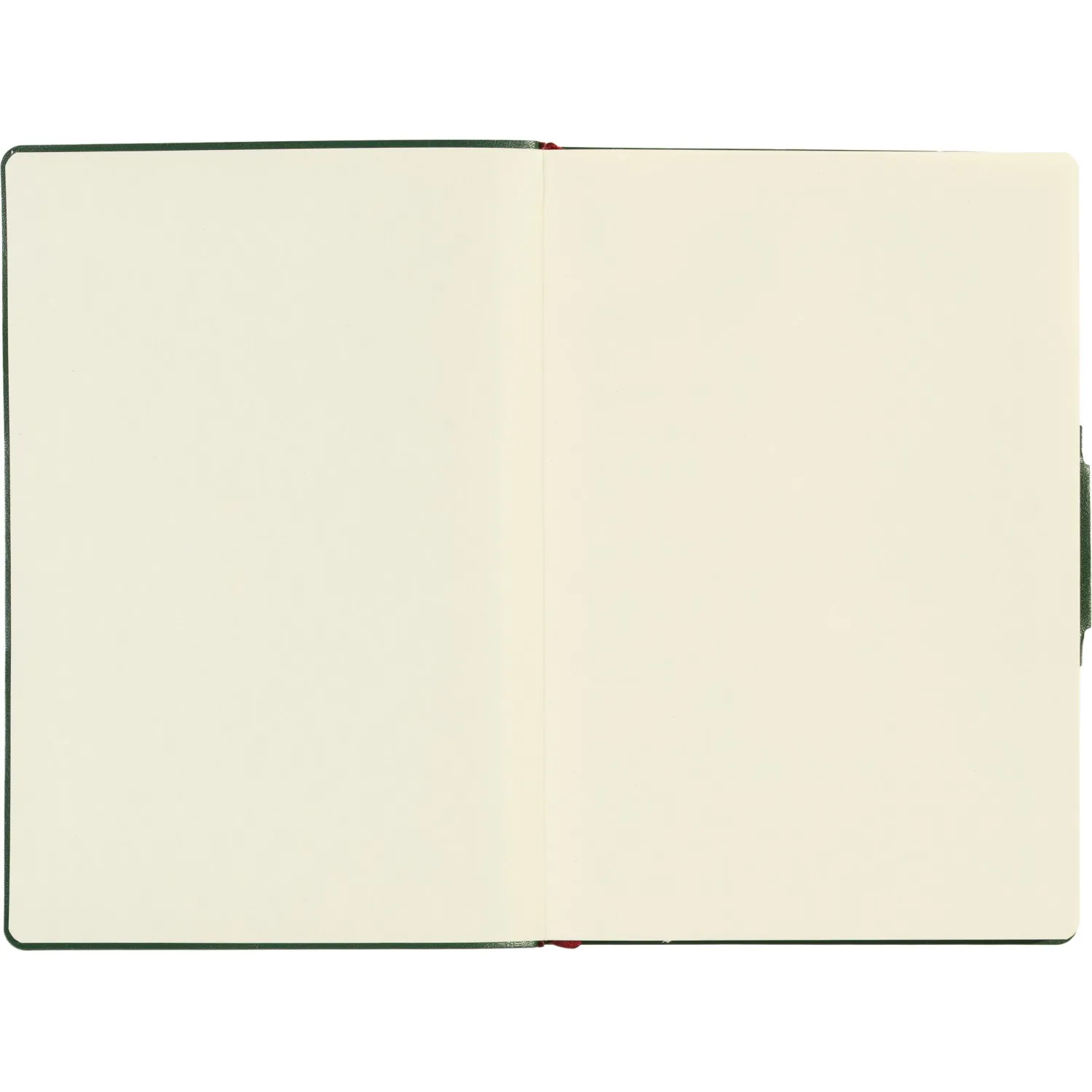 Ежедневник недатированный А5 PRIMAVERA(ТЕМНО-ЗЕЛЕНЫЙ) 3-536/07 - фото 8