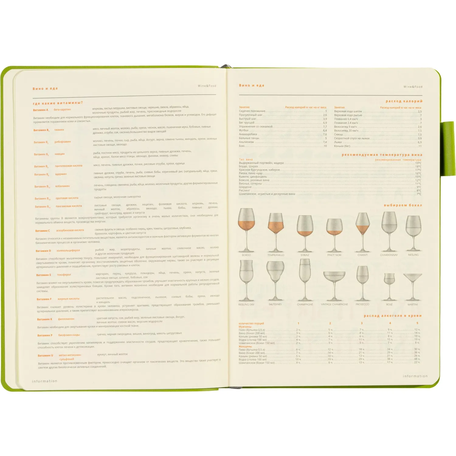 Ежедневник недатированный А5 BOSTON(СЕРЫЙ) 3-228/08 - фото 12