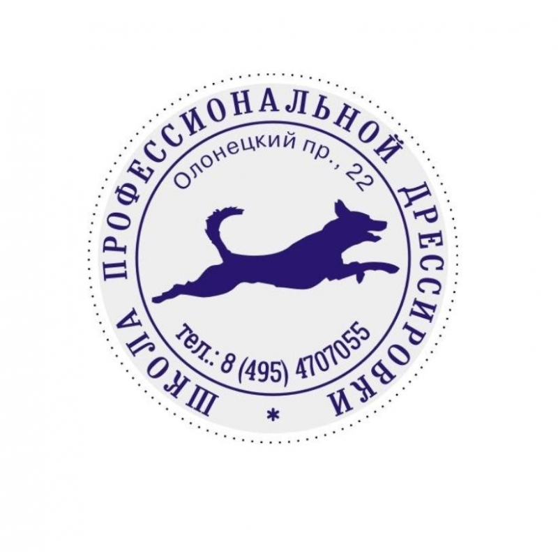 Оснастка для печати кругл. карман. Stamp Mouse R40 черная Colop - фото 2