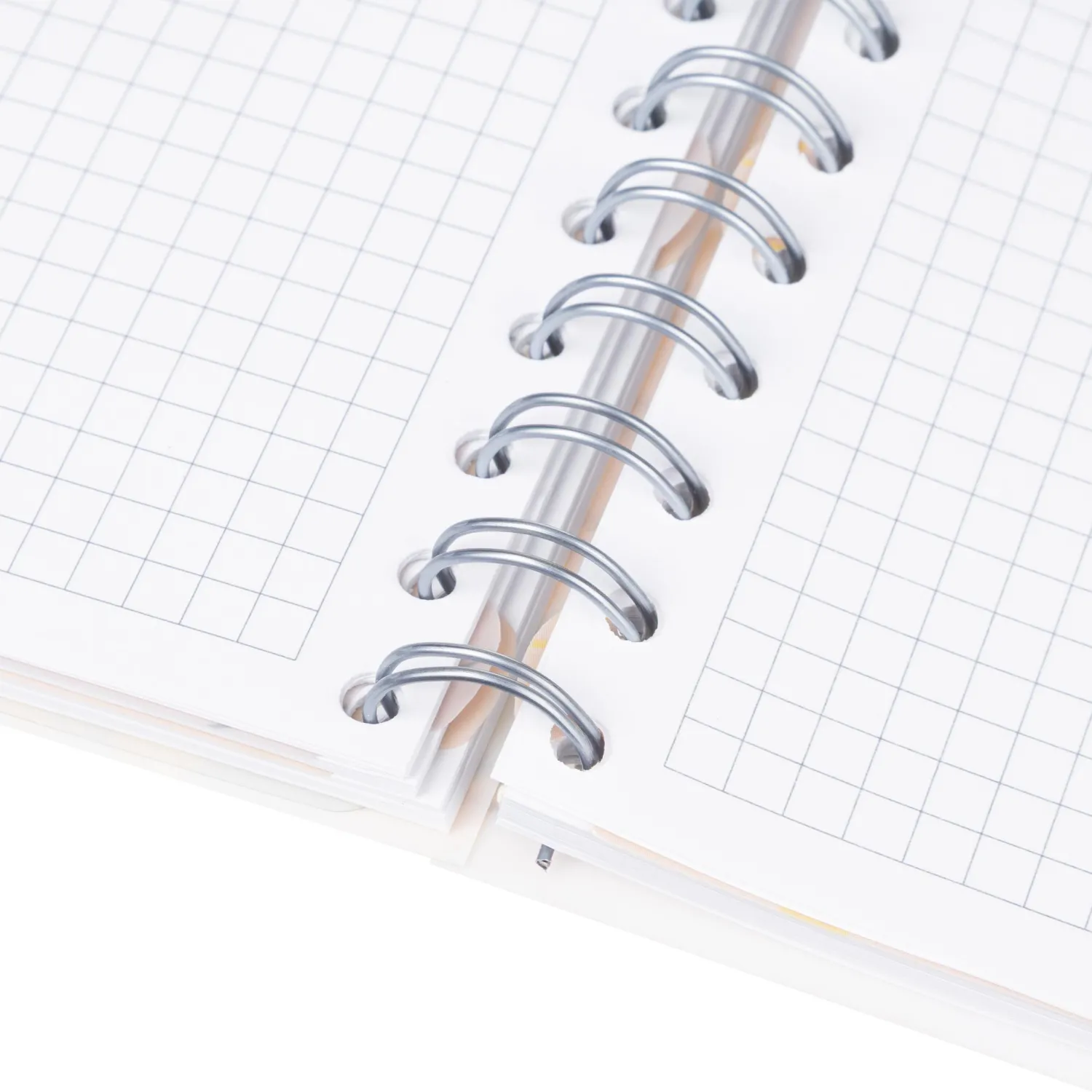 Бизнес-тетрадь 120л,клетка,А5 Flora 1,пласт.обл,серебр.спир,3раздел,линейка - фото 11