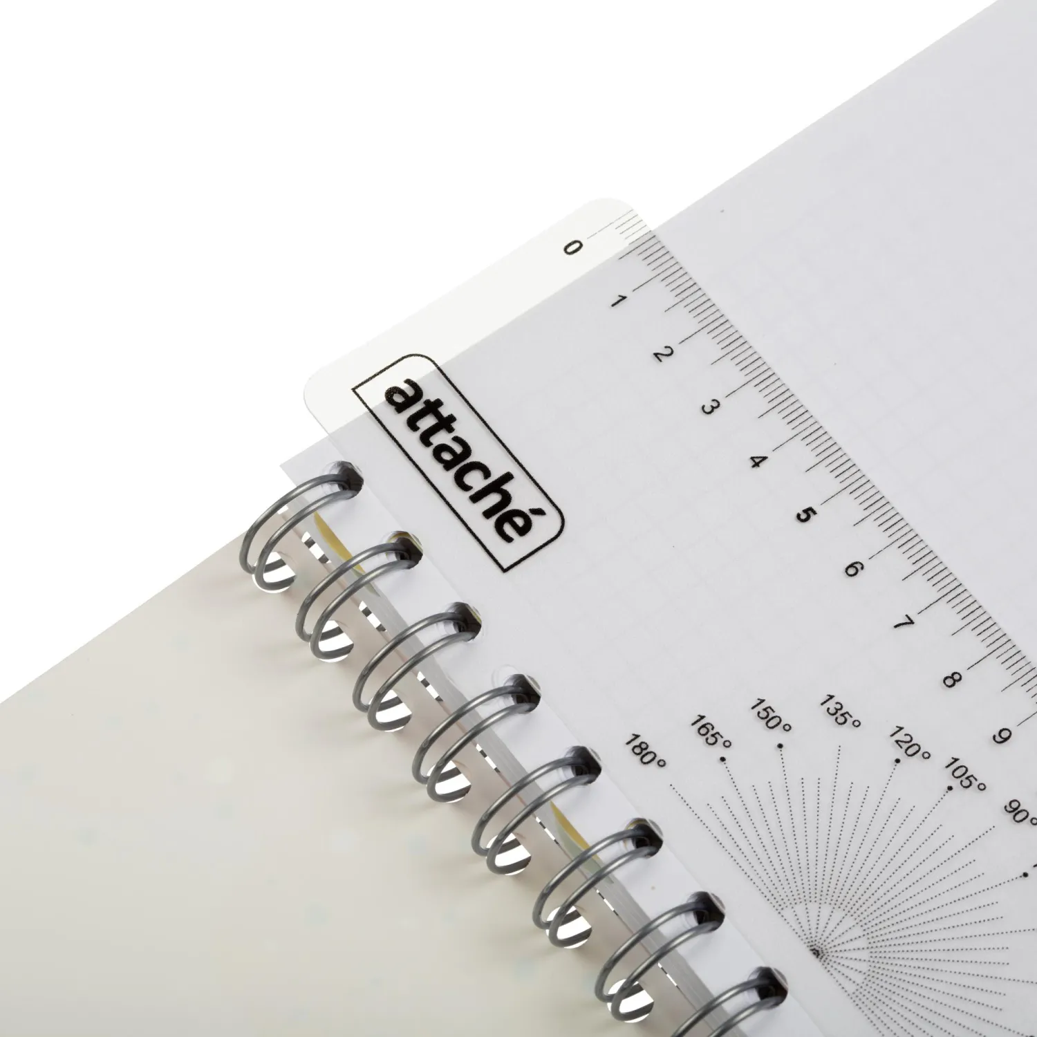 Бизнес-тетрадь 120л,клетка,А5 Flora 1,пласт.обл,серебр.спир,3раздел,линейка - фото 12