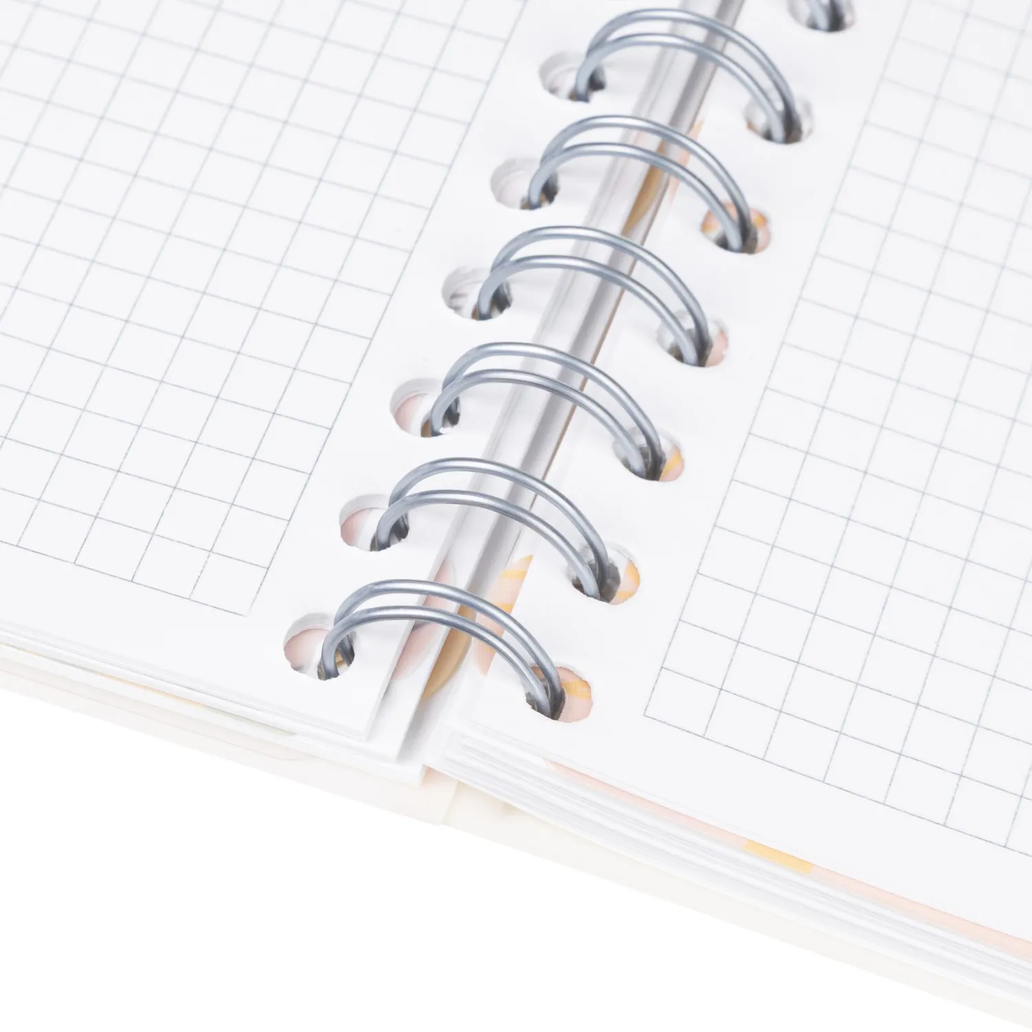 Бизнес-тетрадь 120л,клетка,А5 Flora 2,пласт.обл,серебр.спир,3раздел,линейка - фото 11